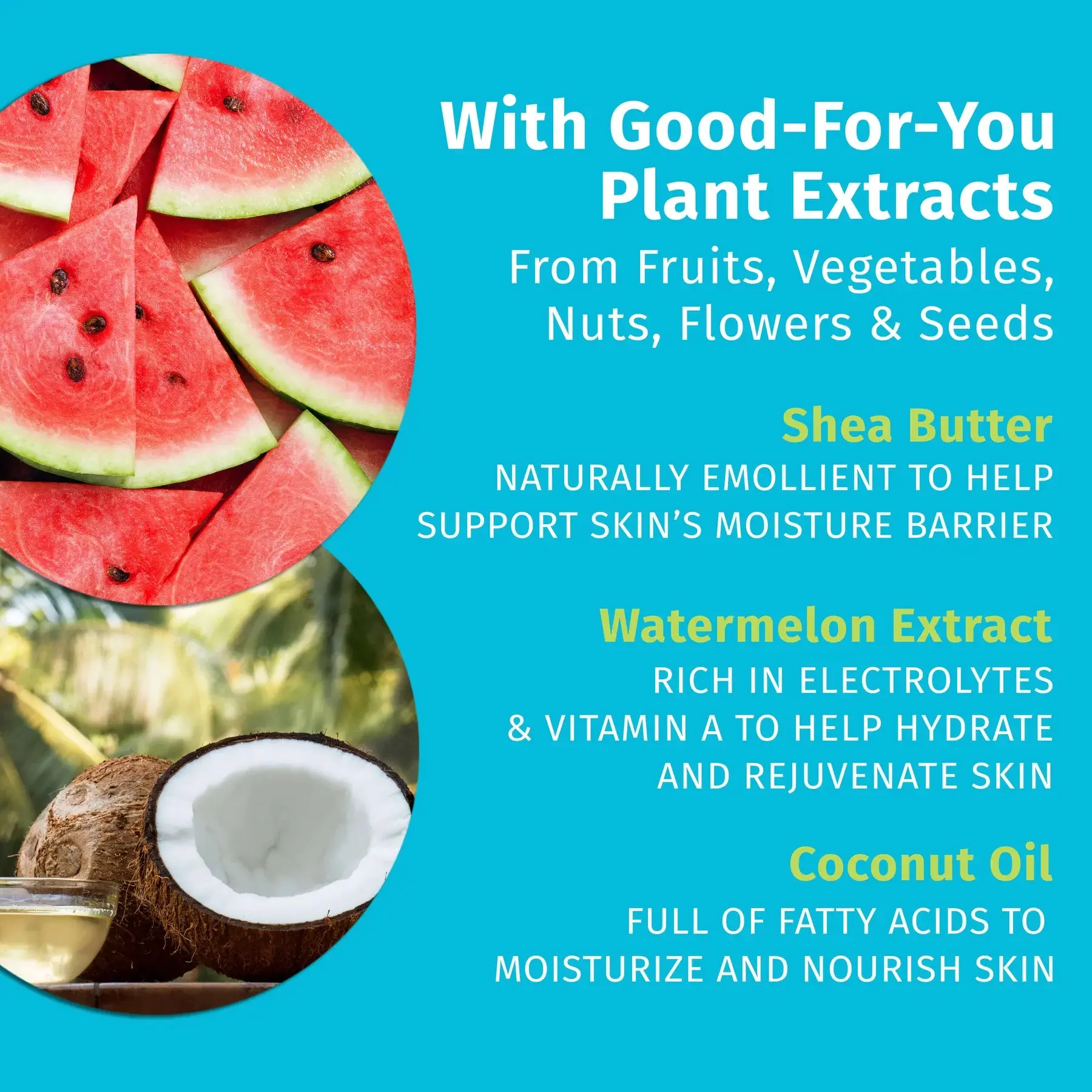 Fresh Coconut & Watermelon Herbal Body Moisturizer - Image 4